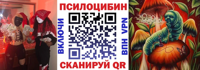 где можно купить наркотик  Краснообск  Псилоцибиновые грибы GOLDEN TEACHER 